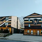 The Vinyl At Music Row - Garden Suite