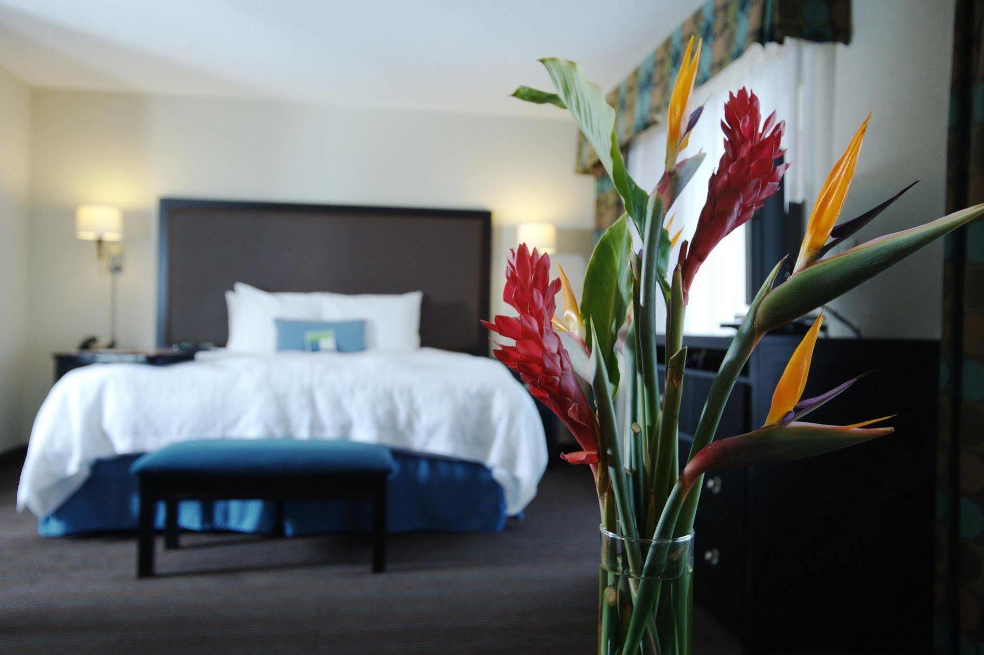 Hampton & Nashville-downtown 3*