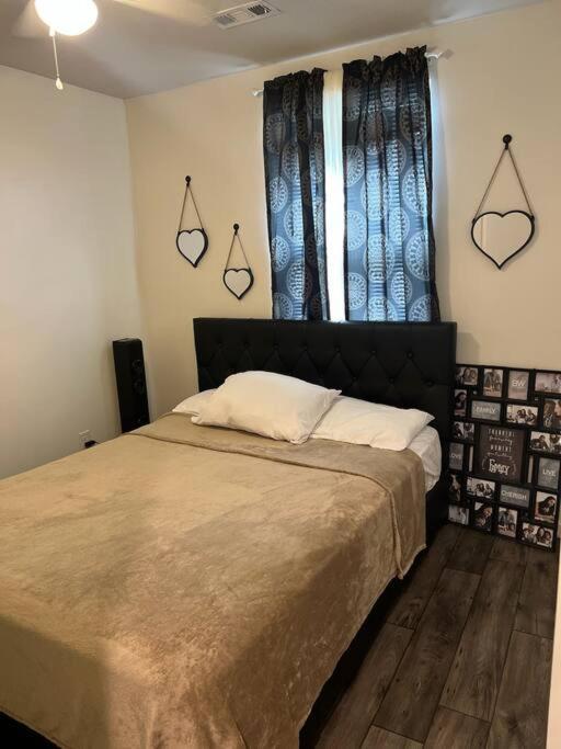Cozy Nest: Where Blossoms * Nashville
