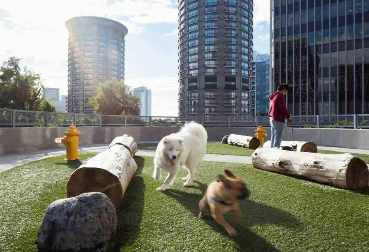 Gulch Luxe 2 Bed 2 Bath * Nashville